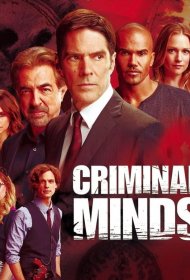 Постер Сериала Мыслить как преступник