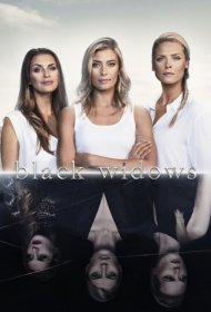 Постер Сериала Черные вдовы