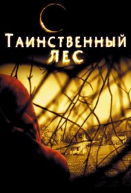 Постер Фильма Таинственный лес