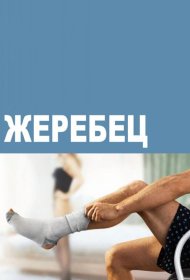 Постер Сериала Жеребец