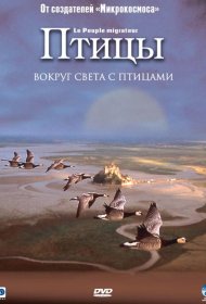 Постер Фильма Птицы