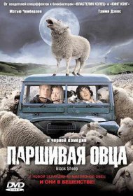 Постер Фильма Паршивая овца