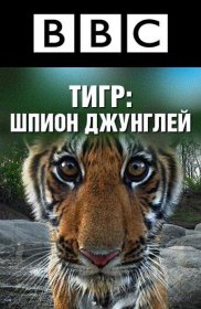 Постер Сериала BBC: Тигр – шпион джунглей