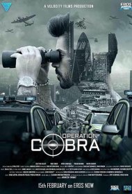 Постер Сериала Операция «Кобра»