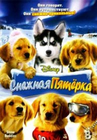 Постер Фильма Снежная пятерка