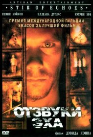 Постер Фильма Отзвуки эха
