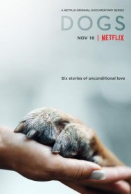 Постер Сериала Друг человека