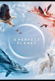 Постер Сериала Идеальная планета