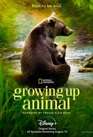 Постер Сериала Взрослеющее животное
