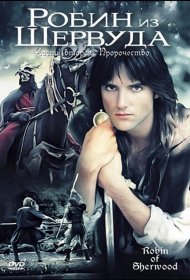 Постер Сериала Робин из Шервуда