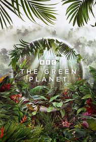 Постер Сериала Зелёная планета