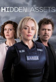 Постер Сериала Скрытые активы
