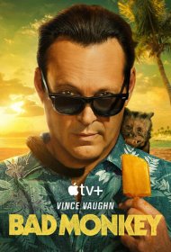 Постер Сериала Плохая обезьяна