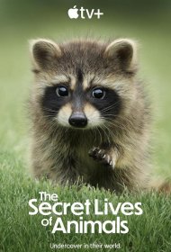 Постер Сериала Тайная жизнь животных