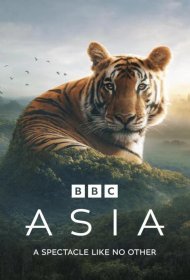 Постер Сериала Азия
