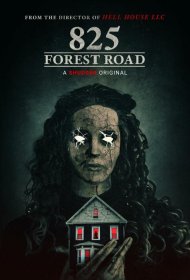 Постер Фильма Форест Роуд, 825