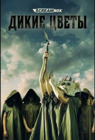 Постер Фильма Дикие цветы