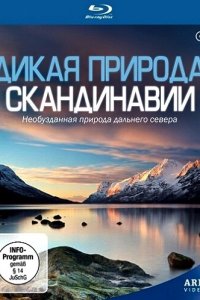 Постер тв-шоуа Дикая природа Скандинавии
