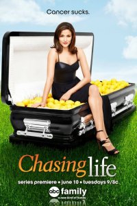 Постер сериала Погоня за жизнью